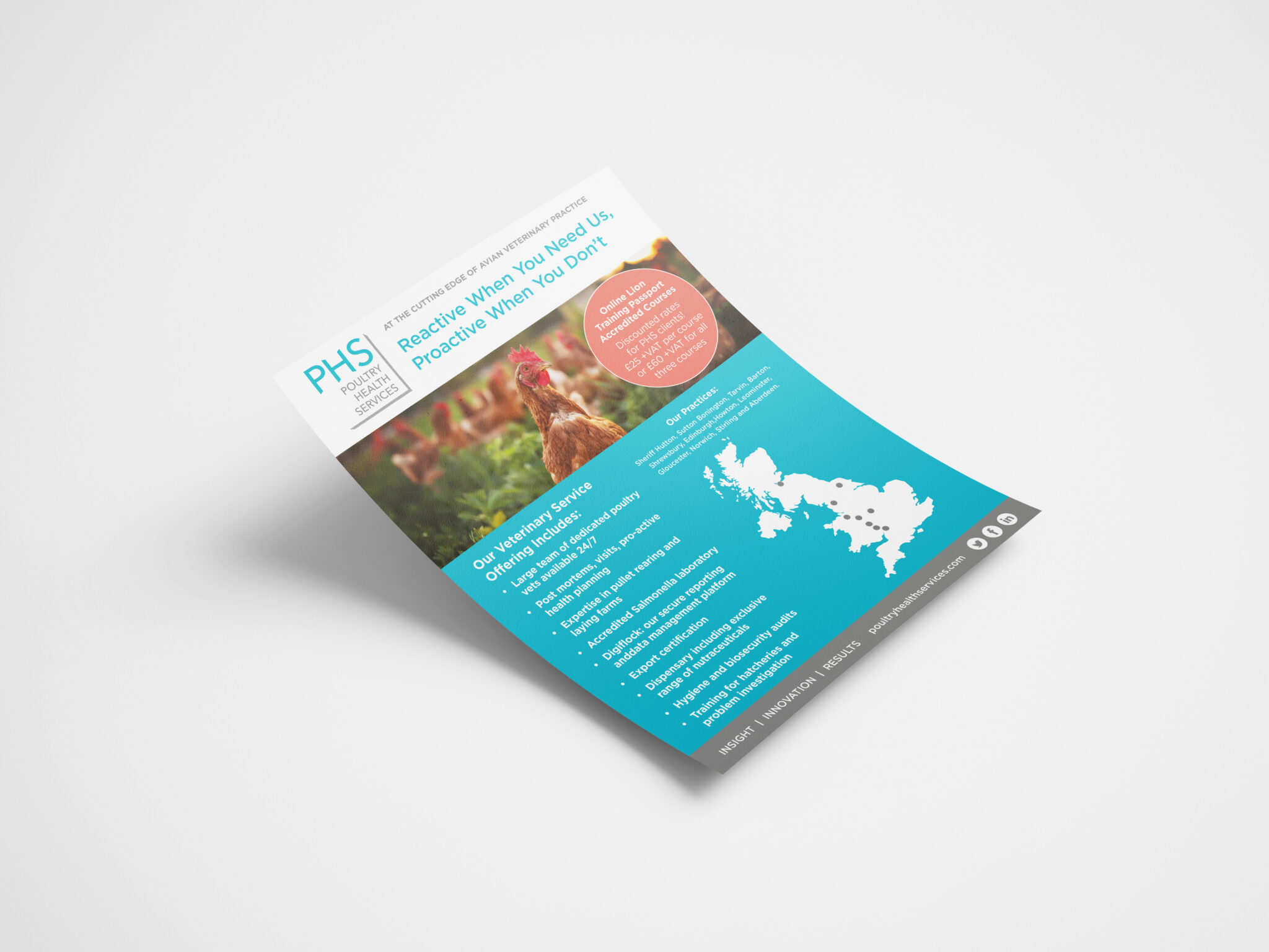 Mockups Design